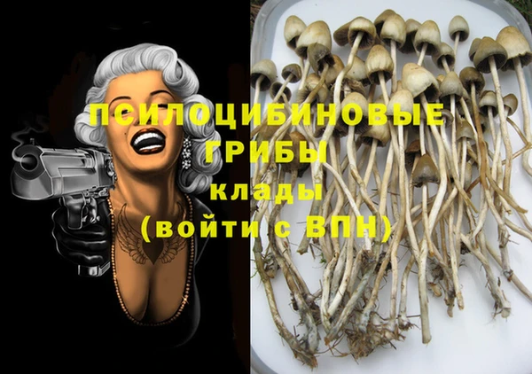 прущая мука Верея